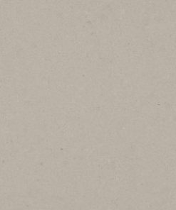 4004 Raw Concrete